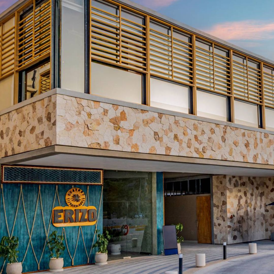 Erizo 1