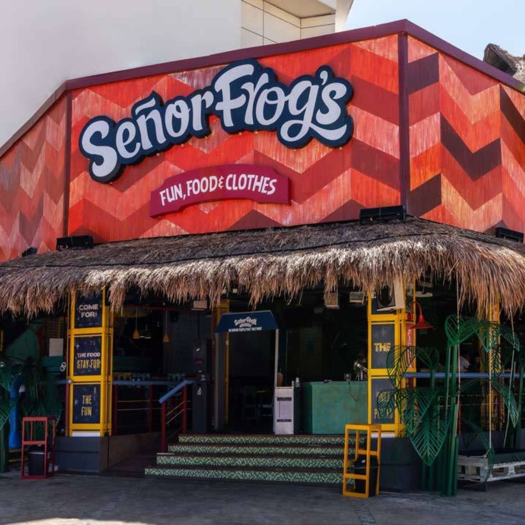 señor frogs 1